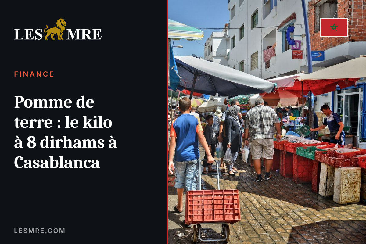 Pomme de terre : le kilo à 8 dirhams à Casablanca